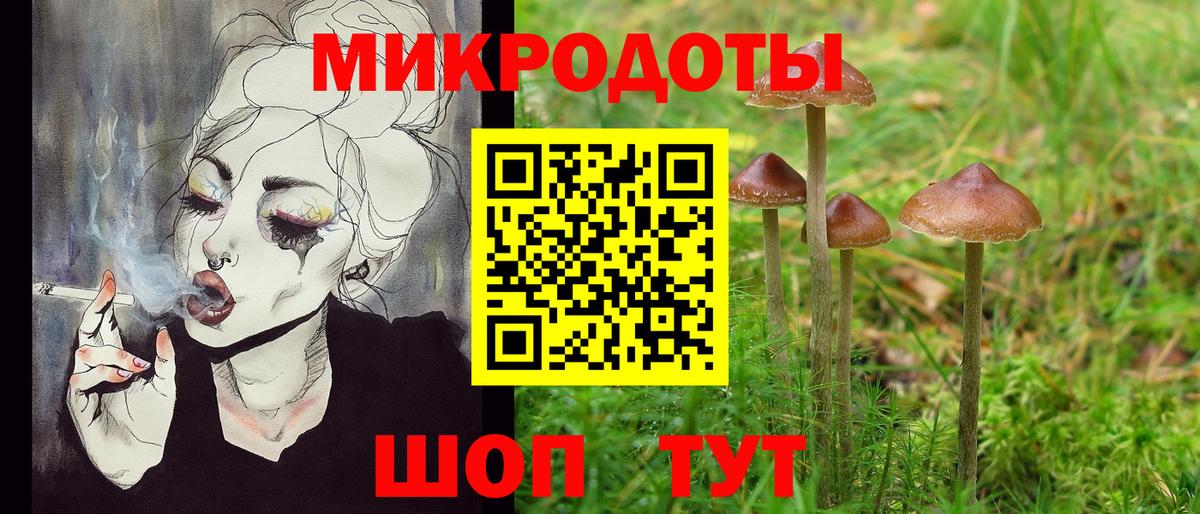 Галлюциногенные грибы мухоморы Лесной